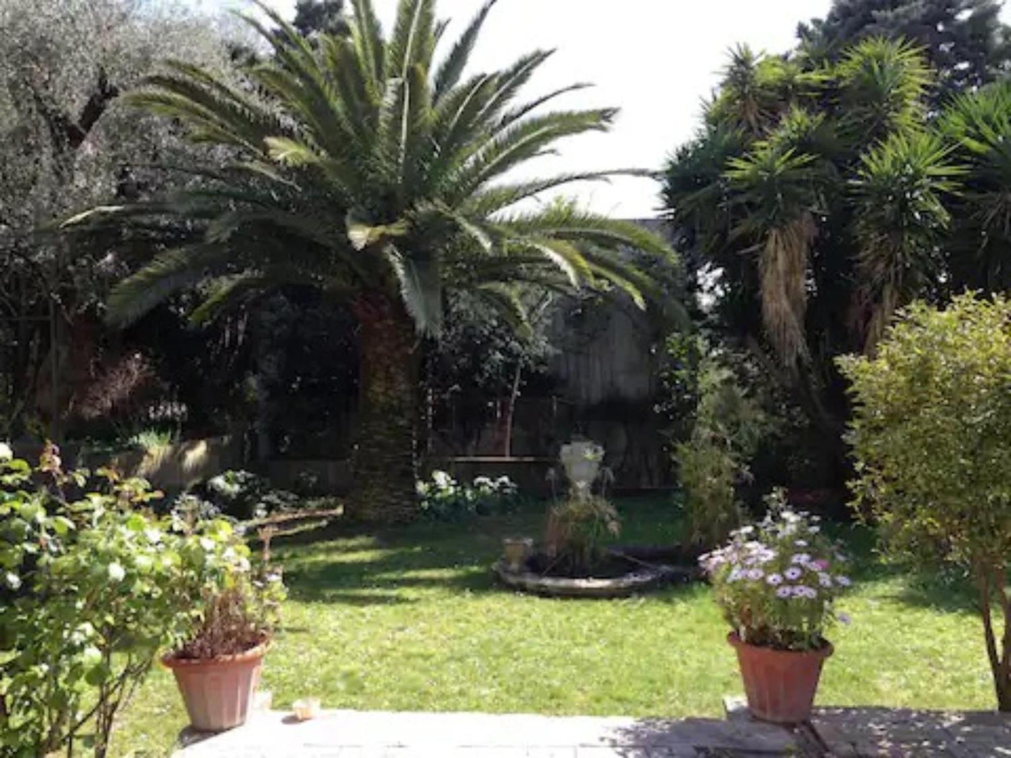Cosy Appartamento